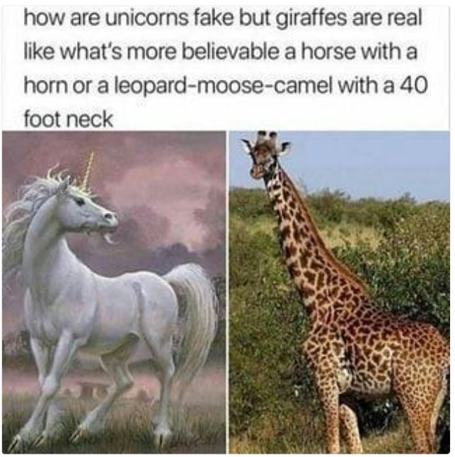 And don't forget the stumpy antennae! https://t.co/PcM8o1X8KQ<a href="/tag/spotify"class="tags"><span>#spotify</span></a><a href="/tag/joerogan"class="tags"><span>#joerogan</span></a>