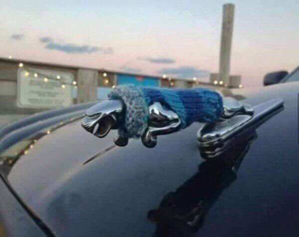 FpKADU1XoAMSbB9?format=jpg&name=small