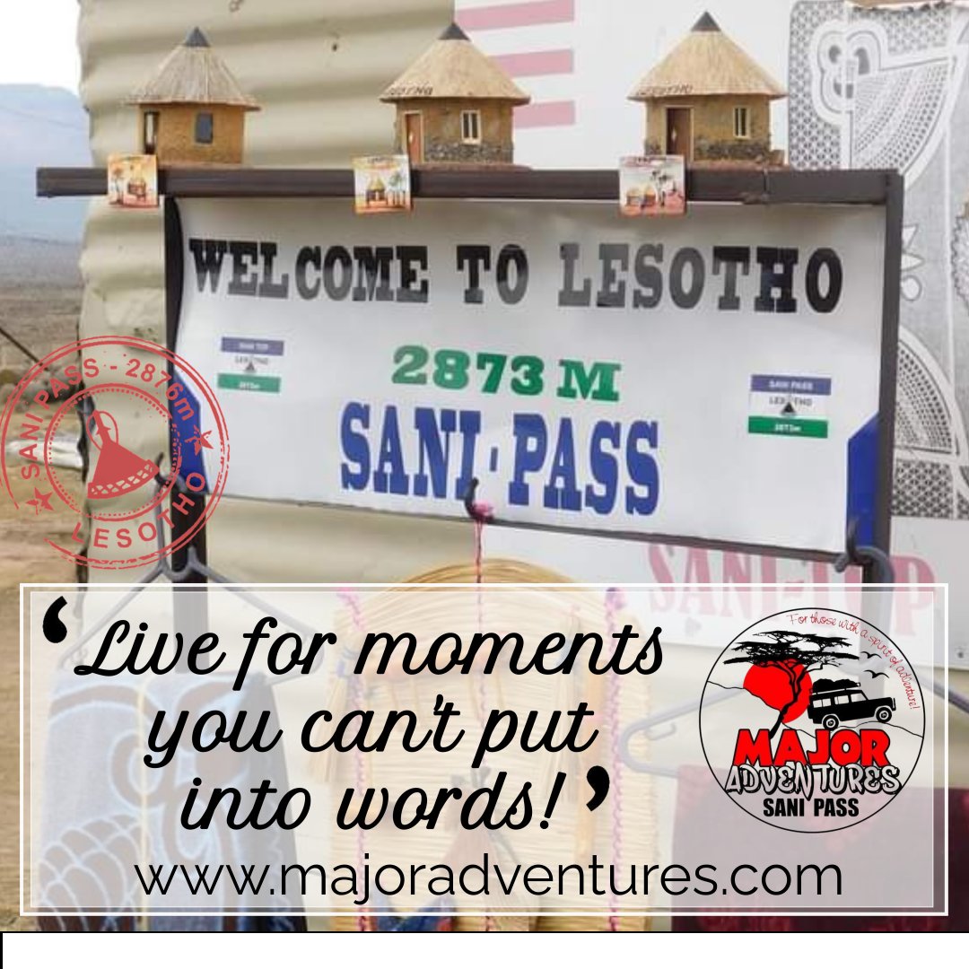 Major Adventures tweet media