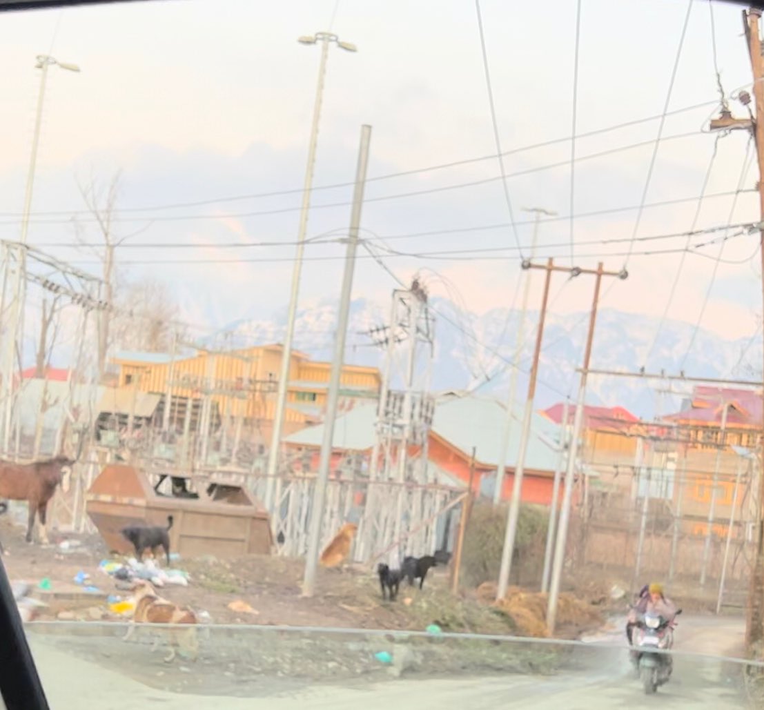 BeyZeba's tweet photo. @srinagaradmin @diprjk @PIBSrinagar @ddnews_jammu @ddnewsSrinagar @AsadamAijaz True, if the award was for worst waste disposal and highest number of stray dogs. The SMC has nothing to be proud of. Awards mean nothing when roads are filled with strays and waste and locked public washrooms. Its a shame you are celebrating when public is suffering. https://t.co/2NtOq4blWY