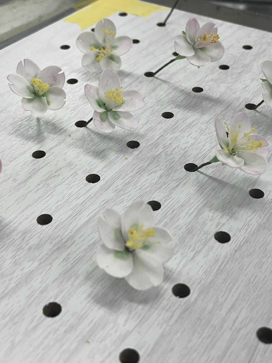 ironmanfe1's tweet photo. シュガークラフト練習中。 ≪桜≫
#お菓子作り好きな人と繋がりたい
#FIPGC
#世界大会
#シュガークラフト https://t.co/0D8PJePv7Y