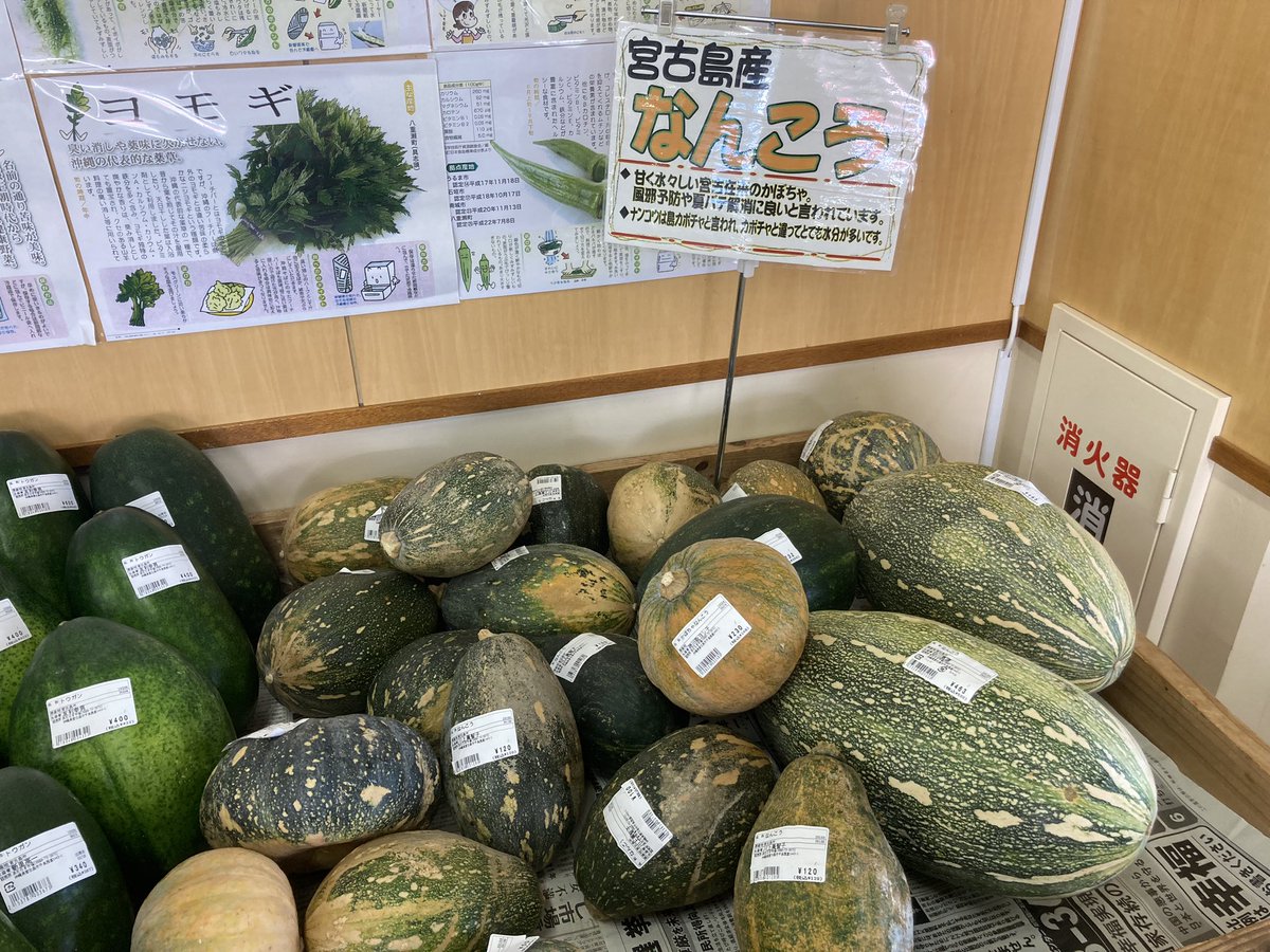 【専用 ハッピー様】 カボチャ　かぼちゃ 沖縄県 宮古島産 沖縄県産 フルーツ 島野菜 南瓜 pumpkin