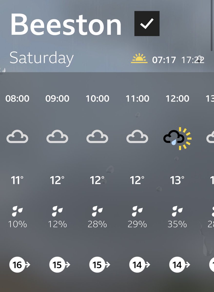 🐀 Ruth: Mother of (lab) robots, first of her name tweet media