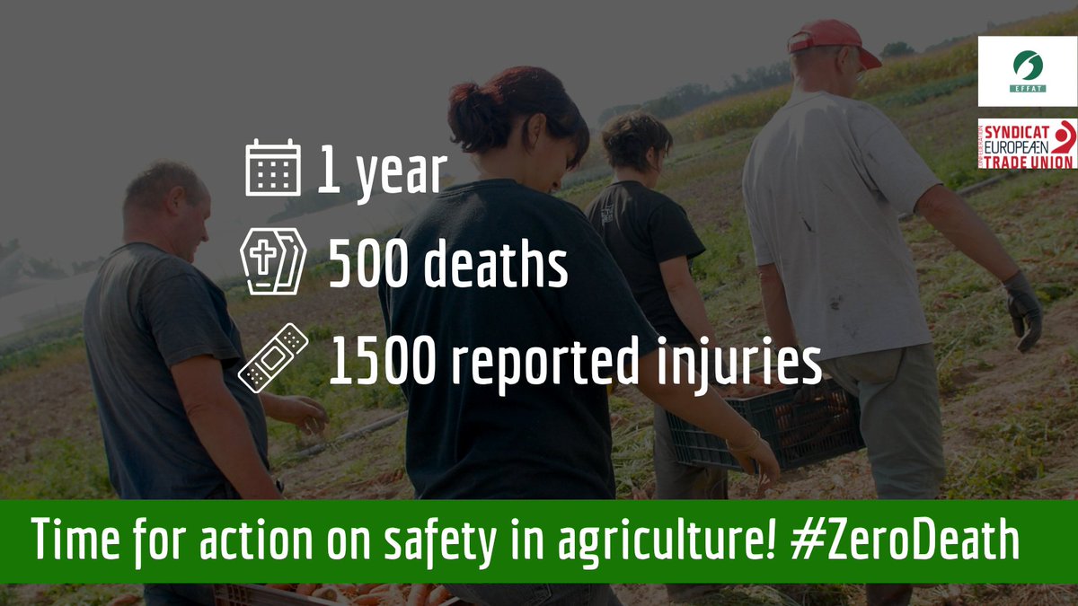 𝟱𝟬𝟬 deaths.
𝟭𝟱𝟬𝟬 reported injuries. 
Sad numbers for 𝟭 ordinary year in EU #Agriculture.
Yet #ZeroDeath is achievable w/;
-Effective #SocialConditionality sanctions
-More labour inspections 
-Less Pesticides Use 
EFFAT &amp; <a href="/etuc_ces/">EUROPEAN TRADE UNIONS</a> wrote to #EU: 
bit.ly/3xrZMrH