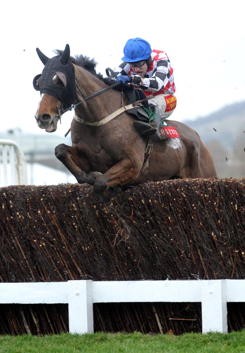 Congratulations to ⁦@tommyscu⁩ on a magnificent riding career, he gave us our best days racing on The Giant Bolster. Proud he wore our colours on his last day, on a fittingly named horse Extraordinary Man and he is!! ⁦@RacingPost⁩ ⁦@CheltenhamRaces⁩