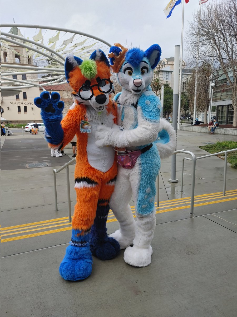 Happy #FursuitFriday everyone! This weeks photo is of @FlukeHusky and @yourtirox from #fc2023 #furcon2023. Enjoy everyone!!!!! 🐇💙🐇💙🐇💙🐇💙🐇💙