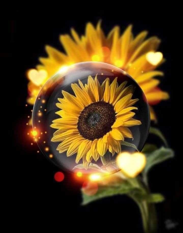 جمعتكم مباركة