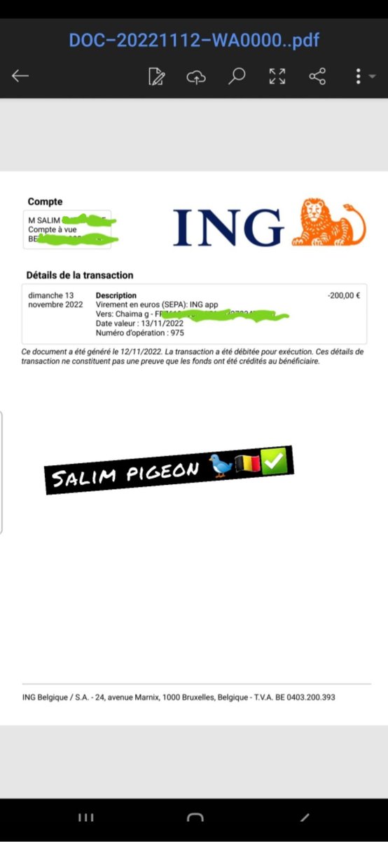 Salim Pigeon 3K🐦👠🇧🇪 tweet media