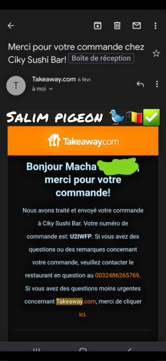 Salim Pigeon 3K🐦👠🇧🇪 tweet media