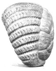 Material Musings Blog tweet media