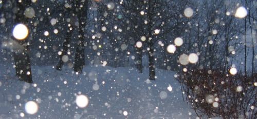 - Привет, ты не видел чего-нибудь странного в последнее время, может тебя приследует дух..или демон? - юноша вопросительно наклоняется голову, но заметив твое недоумение, неловко кашлянул, почесав затылок- кхм, совсем забыл представиться. Я Чунь Юнь, местный экзорцист Ли Юэ.