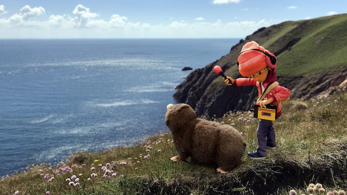 Toddle About tweet media