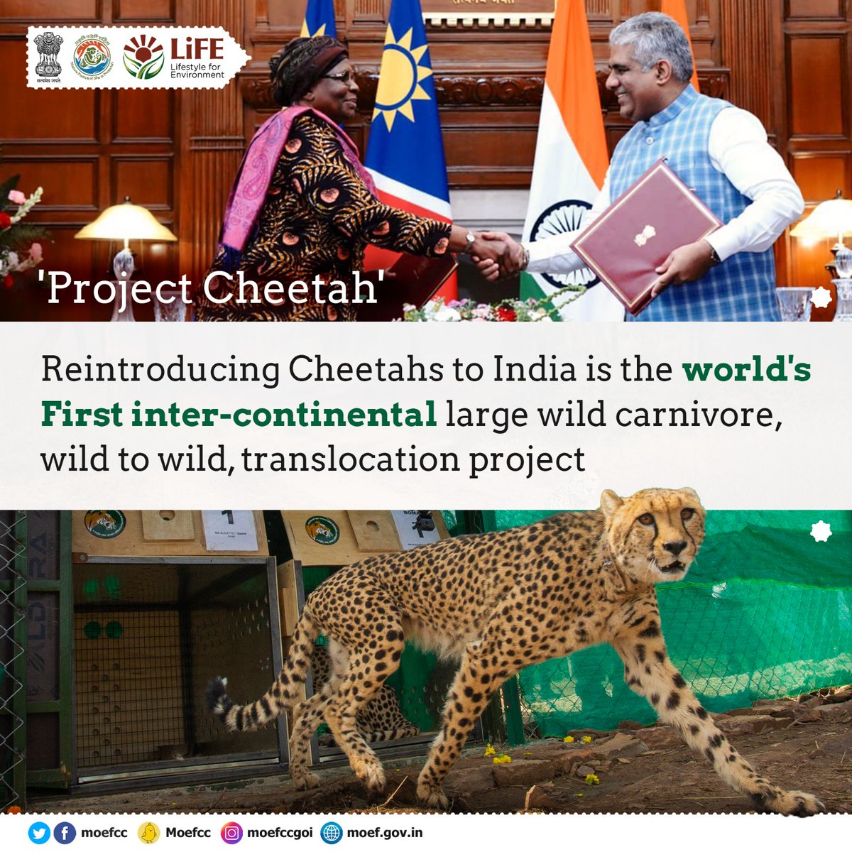 '𝐏𝐫𝐨𝐣𝐞𝐜𝐭 𝐂𝐡𝐞𝐞𝐭𝐚𝐡': The 𝐖𝐨𝐫𝐥𝐝'𝐬 𝟏𝐬𝐭 Inter-continental large wild carnivore, wild to wild translocation Project.
#ProPlanetPeople 
#PrakritiKaKhayal