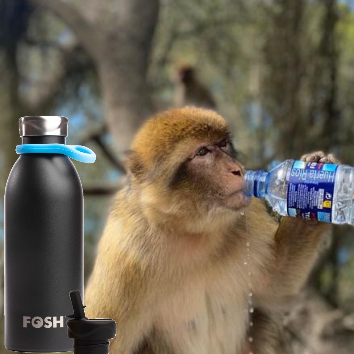 Are we acting like #monkeys ?? Buy a quality water bottle and move on! Only 2% of the single-use plastics produced in 2021 from recycled feedstocks 🧐 Read edie.net/report-single-… #singleuseplastic #waterbottle #recycled #sustainability #bottledwater