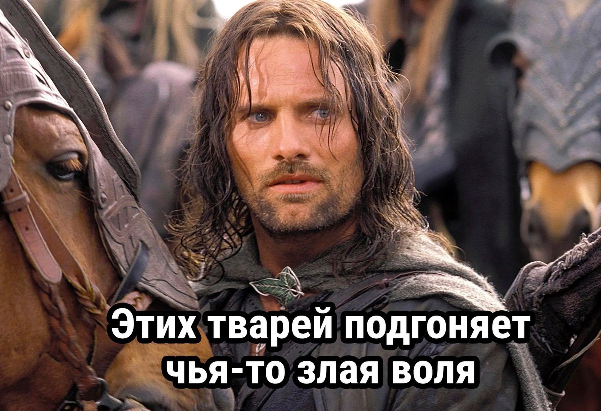 xa5er's tweet photo. @HumansNoContext https://t.co/yxskn74ly6