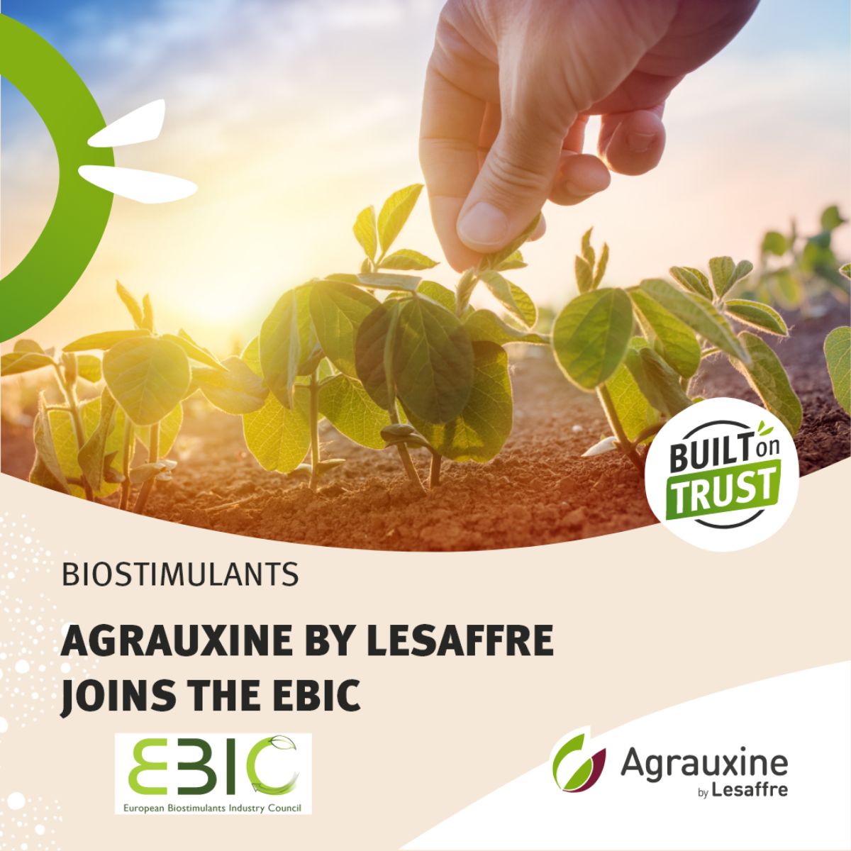 Agrauxine's tweet photo. We're happy to announce that #AgrauxinebyLesaffre recently joined @biostimulantsEU (European Biostimulants Industry Council), becoming its 69th member.

https://t.co/RzzVjZRwlA

#biostimulant #biostimulants #EBIC #sustainableagriculture https://t.co/XUCV1fSnMy