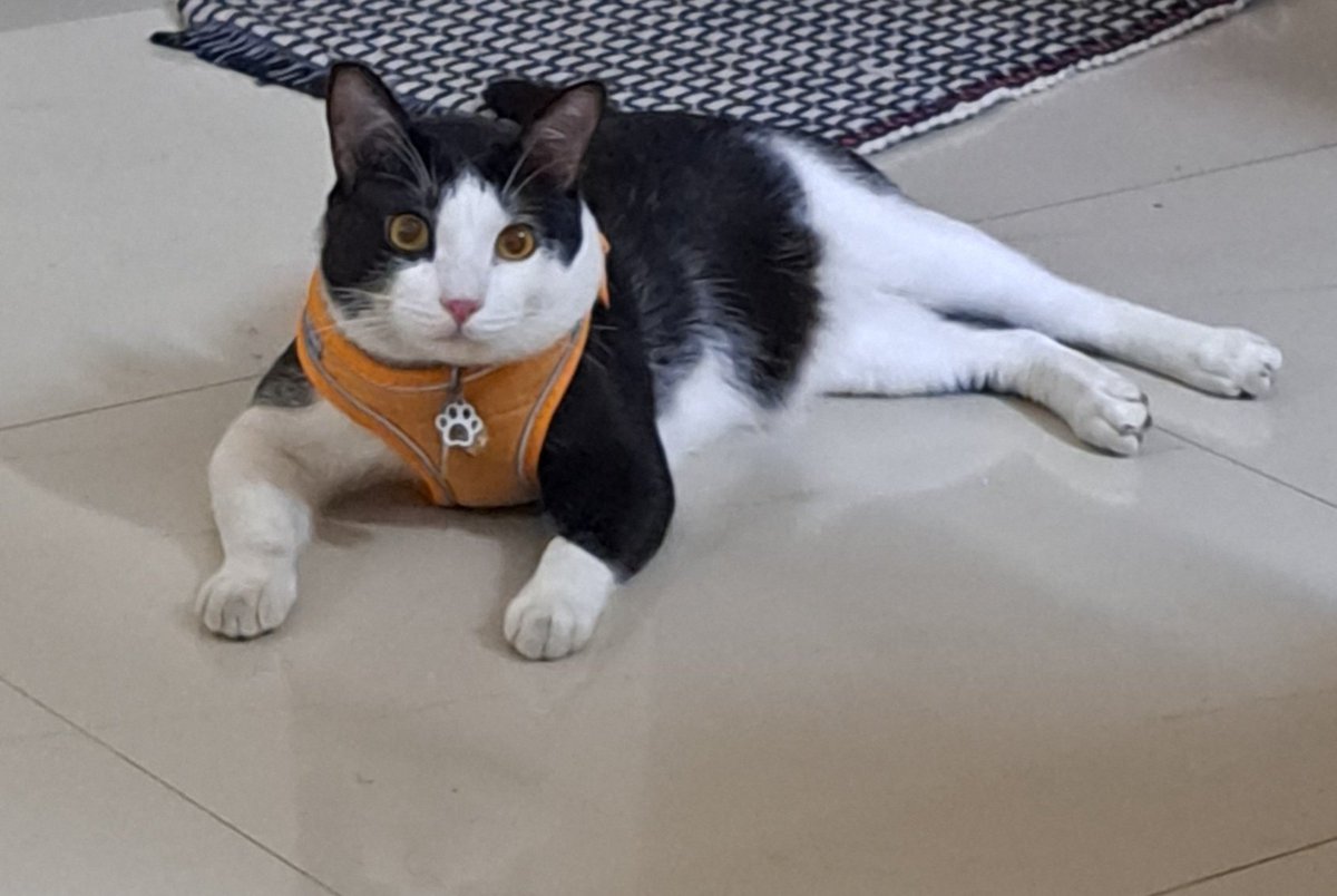 MrMiracle143's tweet photo. DearAll, Myself and Mom won't be available for sometime as Mom needs to take care of some medical thing.. miss you all.. see u soon... https://t.co/E8dVv9c8j3