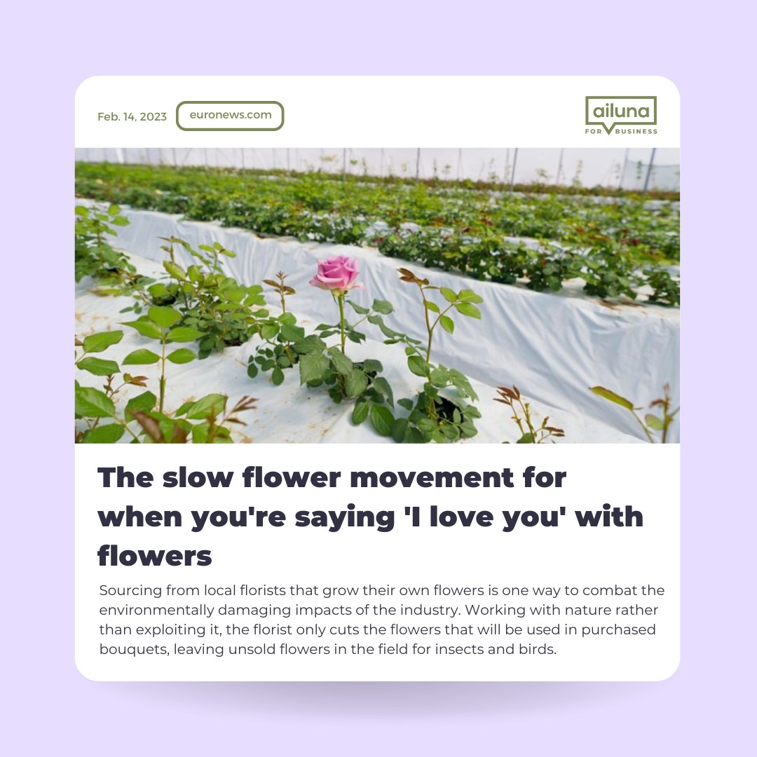 We've gathered a selection of our top sustainability news headlines, and we hope they will inspire you just as much as they have inspired us!
📢 <a href="/pavegen/">Pavegen</a>
#sustainabilitynews #ecobusiness #sustainablebusiness #sustainablefuture #collectiveaction #sustainabilityengagement