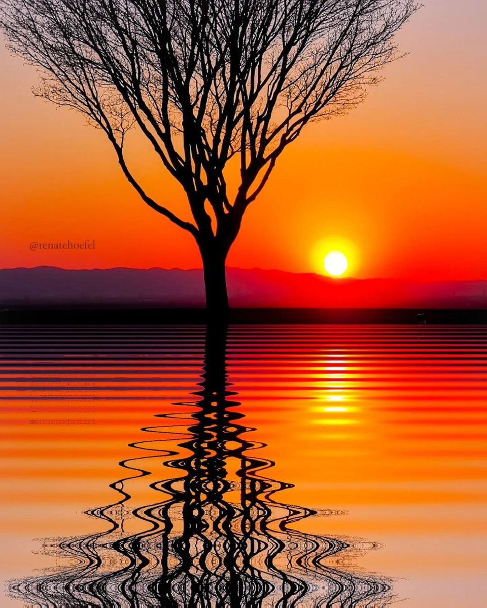 Courtne01902351's tweet photo. #nature https://t.co/EJx5TfvVG8