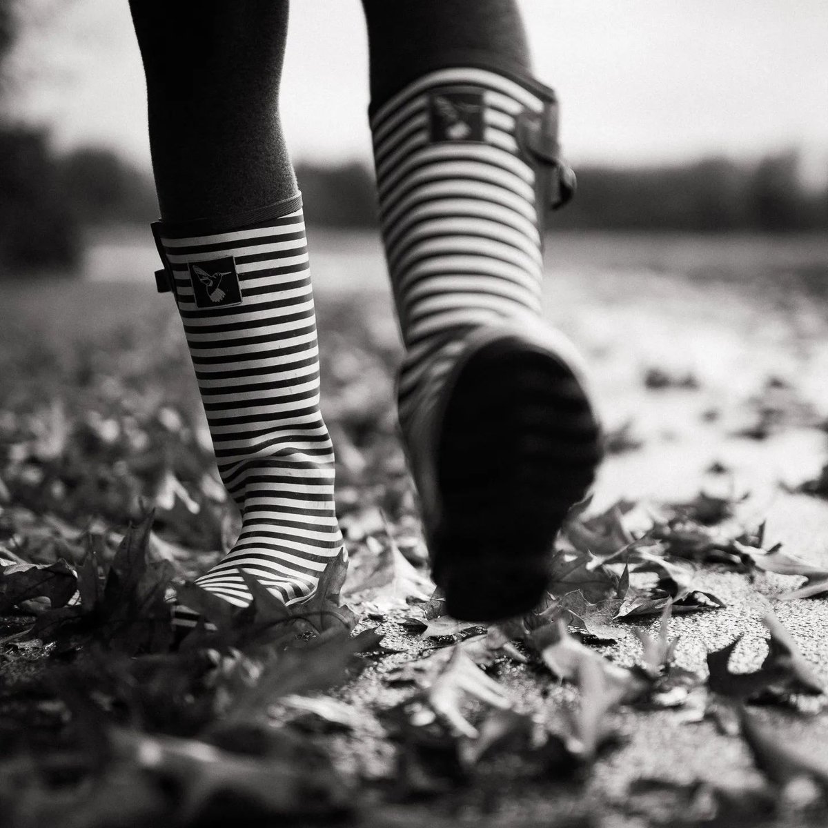 evercreatures's tweet image. What's all this wet weather about? You can tell Spring is on the way.

#repost 📷️ @monikabrksm
.
.
.
#wellies #citywellies #'rainbowwellies #rubberwellies #rubberboots #newwellies #evercreatures #lovemywellies #veganwellington