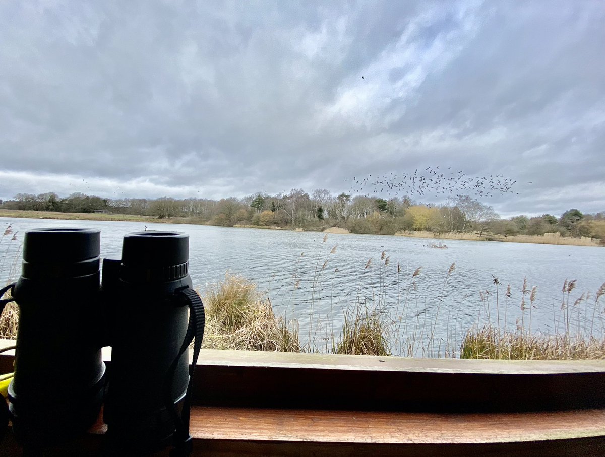 Want to know what birds are about on the reserve today?

Volunteer Guide in the Hide, David, will be out and about, happy to point out those amazing birding sights! #PensthorpeSightings #DiscoverBirds #JourneyIntoNature