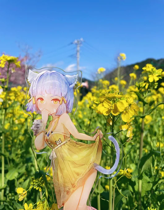 Niaちゃんとデート 場所は河津桜祭り 