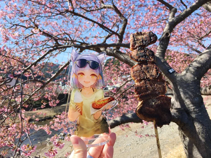 Niaちゃんとデート 場所は河津桜祭り 