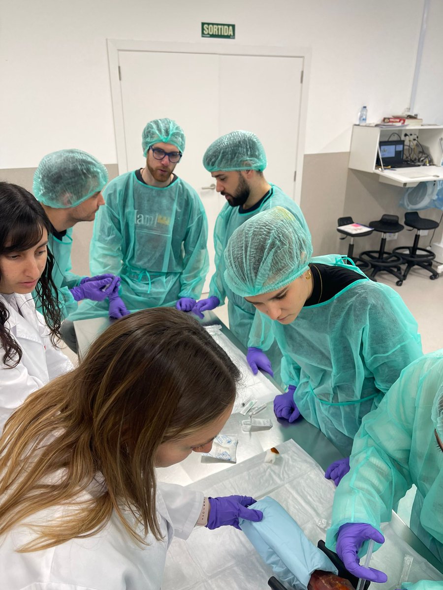 u_medicina's tweet photo. 📢 Taller d'infiltracions i injecció intramuscular amb els de 6è de Medicina. A càrrec del PDI Dra. Cristina Muñoz Pindado, @jvalaball, @_annaescale, @MSerrarols i @JordiCasanovas1 https://t.co/psv7L9EvBc
