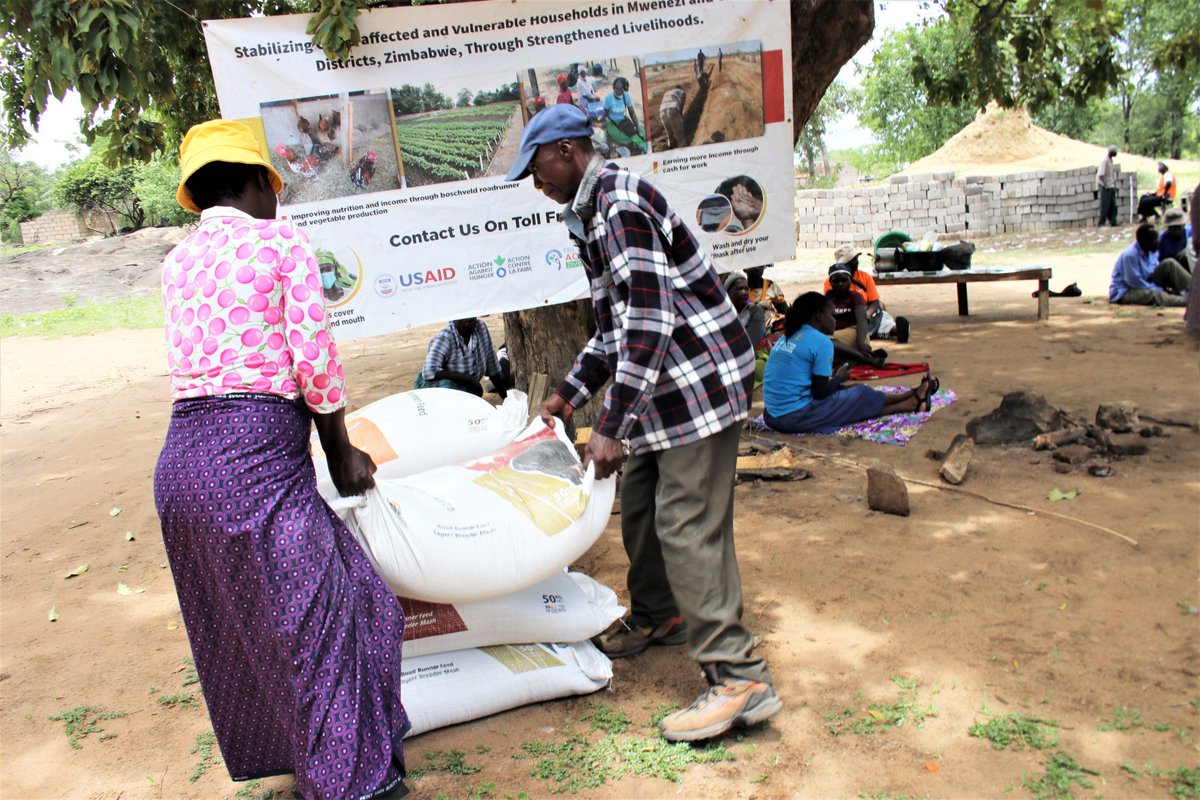 nutriactionzim's tweet photo. The BHA funded Integrated livelihoods project in Mwenezi and Chiredzi districts has trained 1000 farmers on poultry production, distributed chicken feed and fowl run construction materials.
#buildingresilence
#communityDevelopment https://t.co/0RzAkn9Di5