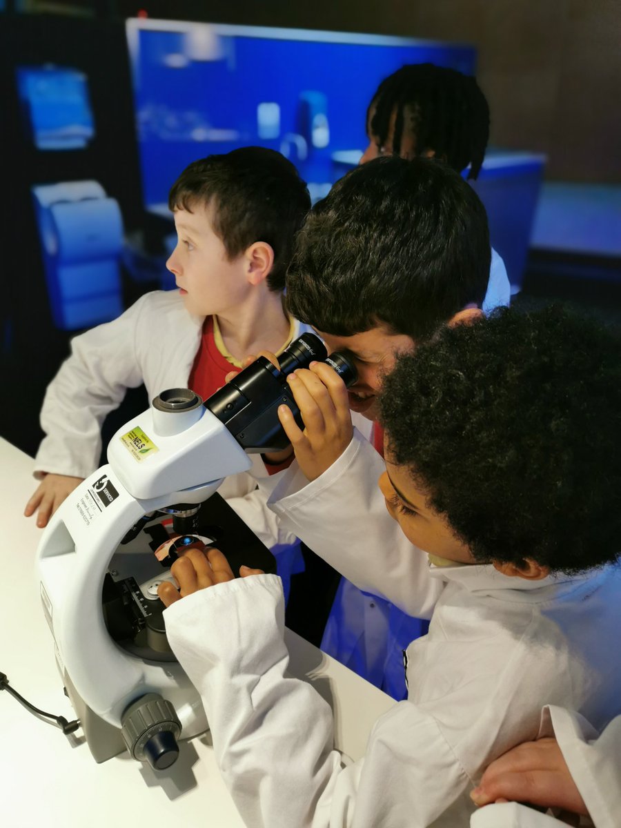 St John's Primary tweet media