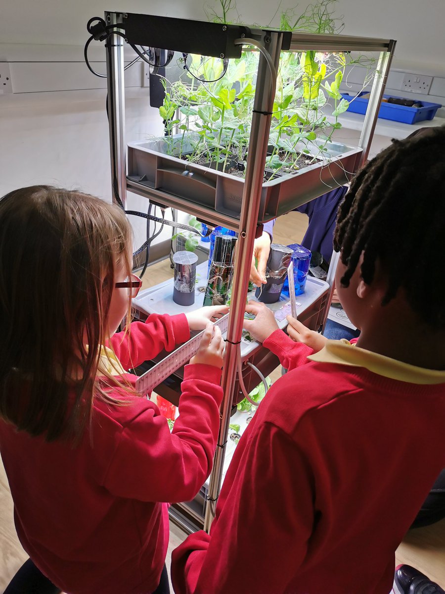 St John's Primary tweet media