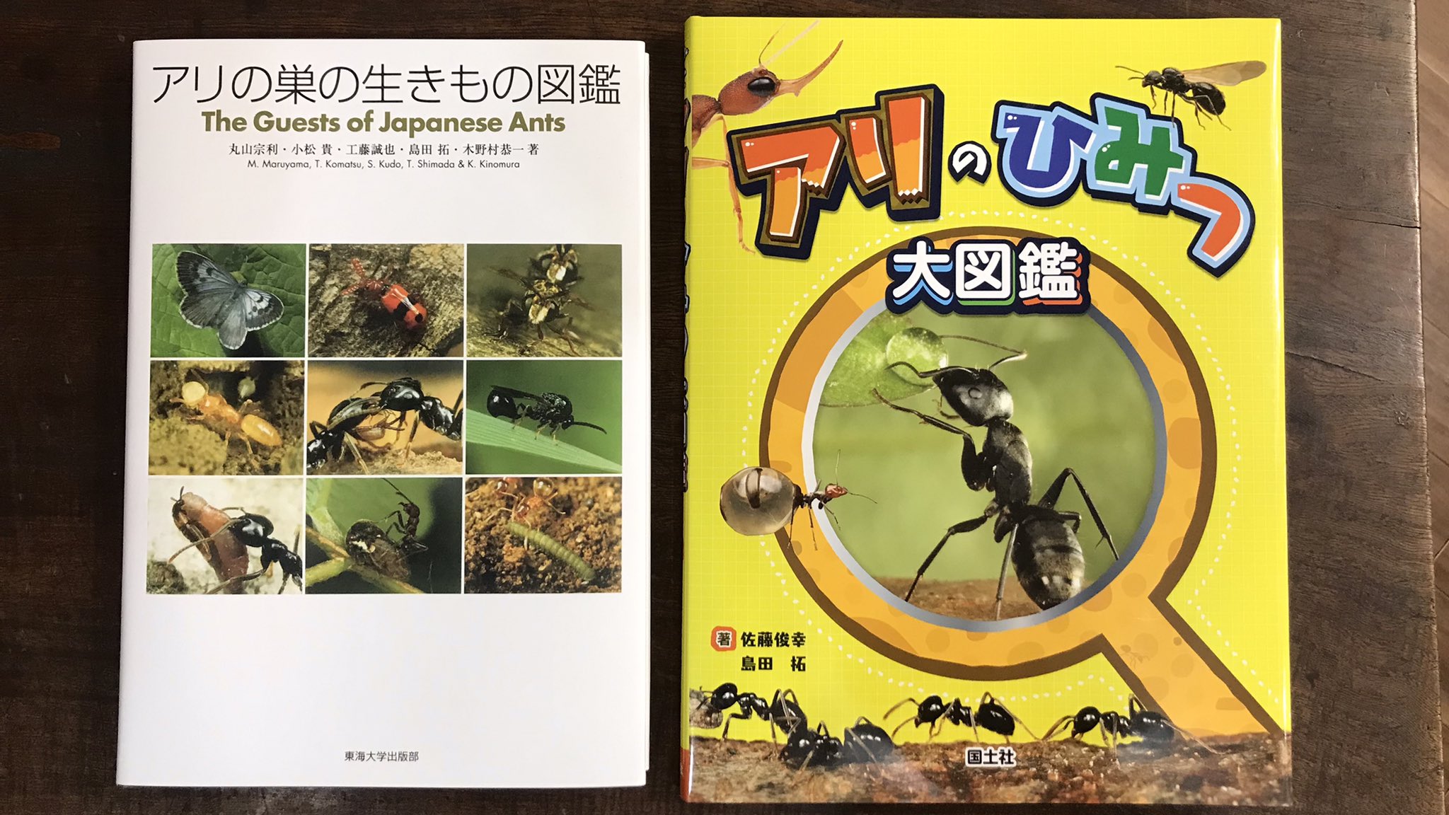 アリの巣の生きもの図鑑 =The Guests of Japanese Ants- アリの巣の生きもの図鑑 =The Guests of Japanese Ants-