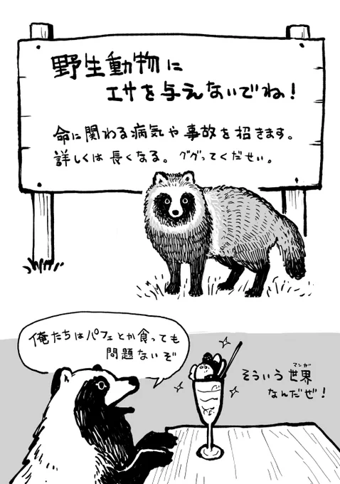 WEB漫画総選挙出馬中なので、おまタヌ2話を再掲させていただきました。どうぞよろしくお願いいたします!試し読み今回も、現実的に考えるとハラハラしちゃう動物にやさしい人のための看板を置いておきますね。 