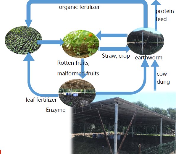 sieugreen's tweet photo. This is the circulated system of earthworm compost,implemented in #SiEUGreen's showcase in Beijing.100 tons of reused waste materials have been used as well as 10 tons of organic fertilize have been produced in 2019,through this system. @HorizonEU #ResearchImpactEU #EUFunding https://t.co/7DPHQ8tqXp