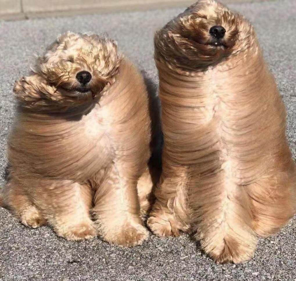 Sheffield Weather Update: FUCKING WINDY.