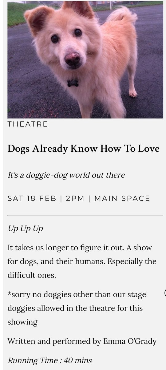Emma O'Grady (@ogradyemma) on Twitter photo I'm the girl who cried Tubridy!
Anyway never mind, come see my work in development tomorrow as part of <a href="/SceneAgusHeard/">SceneAndHeard</a> smockalley.ticketsolve.com/ticketbooth/sh… I'm the girl who cried Tubridy!
Anyway never mind, come see my work in development tomorrow as part of <a href="/SceneAgusHeard/">SceneAndHeard</a> smockalley.ticketsolve.com/ticketbooth/sh…
