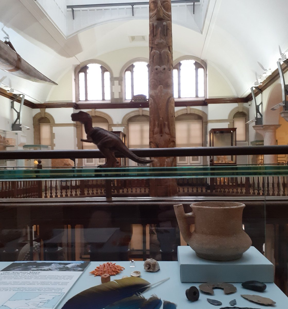 BonfieldKeith's tweet photo. All museums should have at least one dinosaur 🦕
Occasionally, and only if you look very carefully, you may spot a very rare 'tokendinosaurasauras' @MAACambridge @CamUnivMuseums 🙂
#volunteer #MAAColour #MAAStoresmove #dinosaur https://t.co/jF37yRylc4