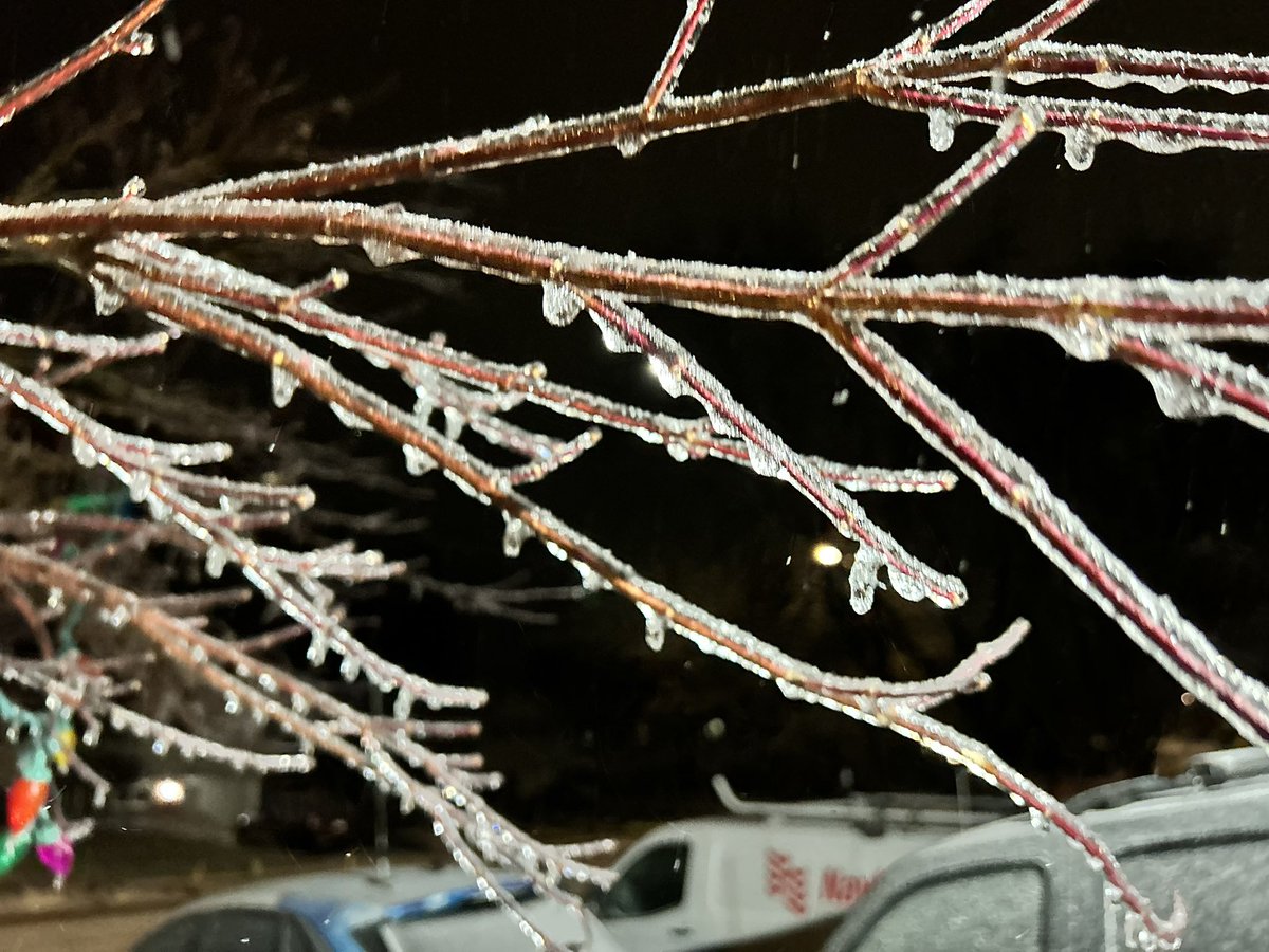 Mark Robinson tweet media