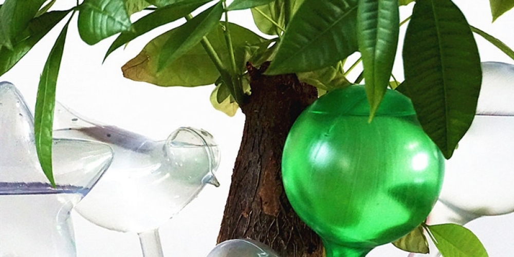 JustSweetHome1's tweet image. Excited to share this Plant Watering Bulbs! 📢 link justsweethome.com/plant-watering… $13.00 $USD #lightidea #decoration #diydecor #homedecor #interiour4all #homeinspo #ModernHome #InteriorLovers