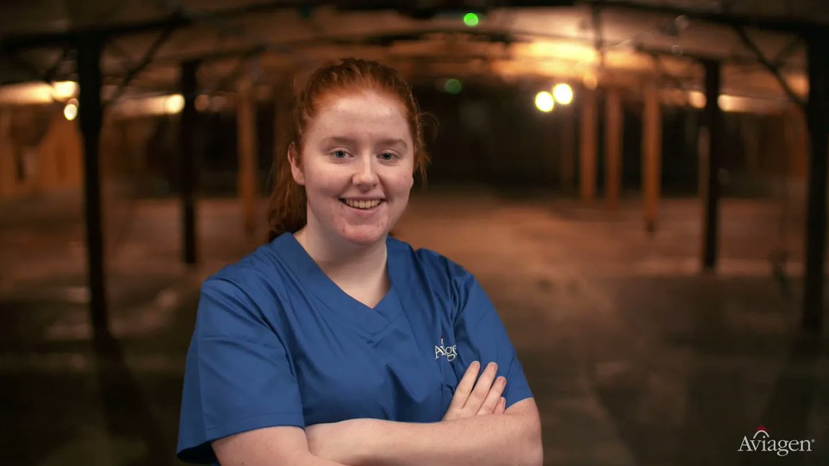 JackVideoEditor's tweet image. Do you like chickens?! A series of stills from 2 films done for Aviagen promoting their scholarship scheme.

Shot and edited by me.