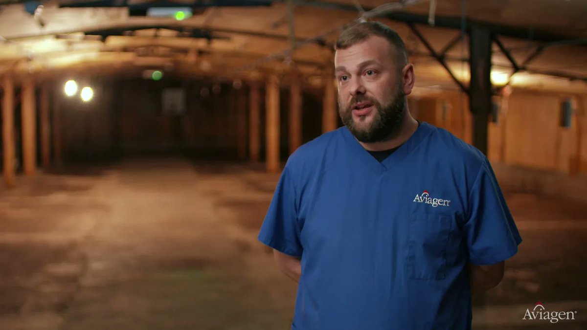 JackVideoEditor's tweet image. Do you like chickens?! A series of stills from 2 films done for Aviagen promoting their scholarship scheme.

Shot and edited by me.