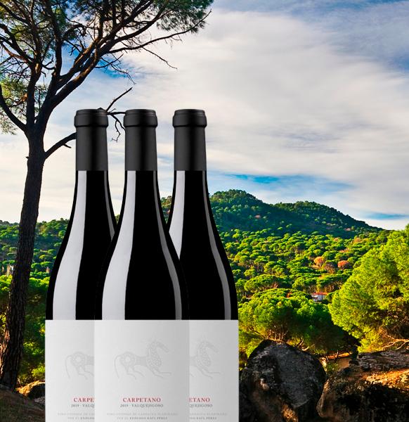 decantalo_uk's tweet photo. Exclusive! Carpetano, the new red wine from Raúl Pérez🍇🍷🤩 

👉 https://t.co/LU7uctToea

📍A Garnacha from Madrid that will give you plenty to say.

Hurry, don’t miss out!

#RaulPerez #winelovers https://t.co/R3OqZWa4Ym
