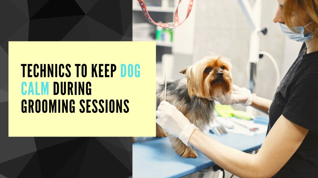 To keep your dog looking cute, you have to spend time and effort in their maintenance. From regular hair to nail trimming, all must be done at a timely interval to ensure they keep on looking their best. 
bit.ly/3Edzddz
#doggroomingsalon