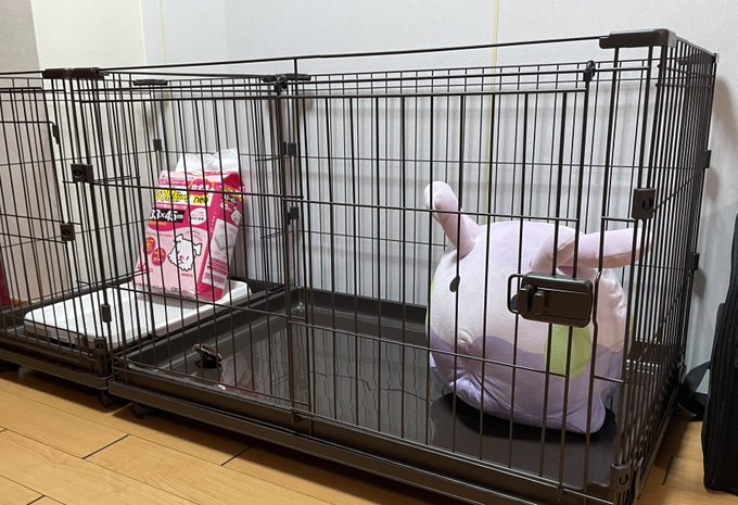 ケージの組み立てと部屋掃除と滑り止めワックスがけをしました 完璧 