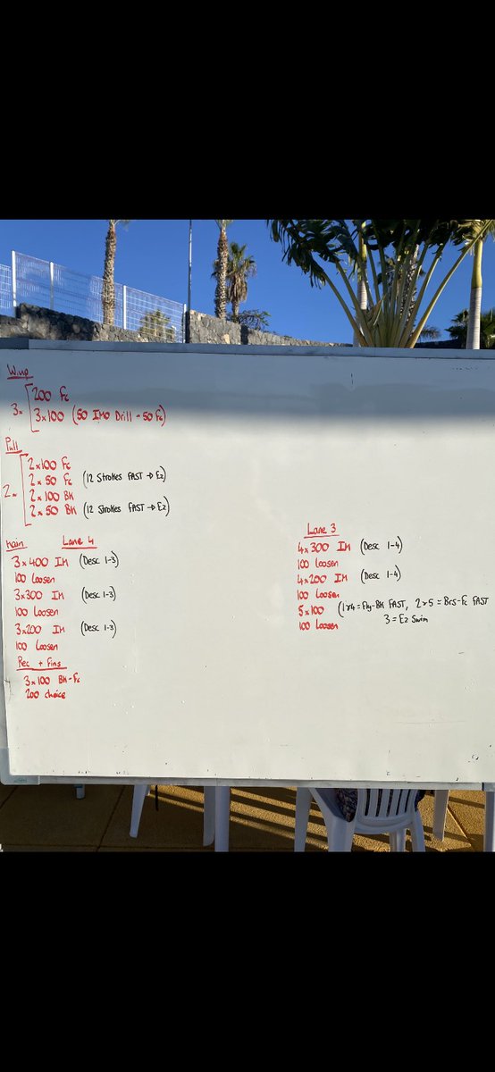 JordanHonour's tweet image. A big IM set in the sun for our Youth Performance swimmers this morning☀️ @thanetsc @TnfTopTraining #TEAMthanet
