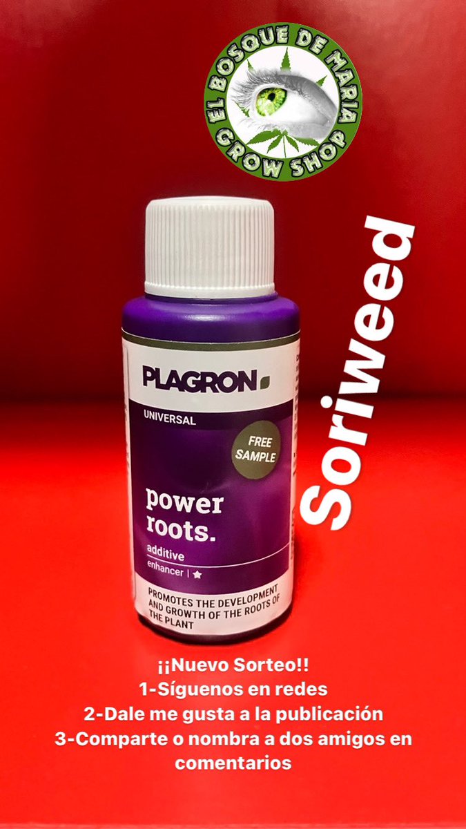 ElBosquedeMaria's tweet photo. ⚠️Y EL GANADOR DEL SORTEO SEMANAL ES SORIWEED⚠️
Enhorabuena!!! Estar atent@s al nuevo sorteo semanal que subiremos hoy por la tarde!!!
 #sorteoplagron #powerroots #plagron #EBMgrowshop #growshopCastroUrdiales #growshopElBosquedeMaria #growshopCantabria #growshop #elbosquedemaria https://t.co/qQrdx8mHzz