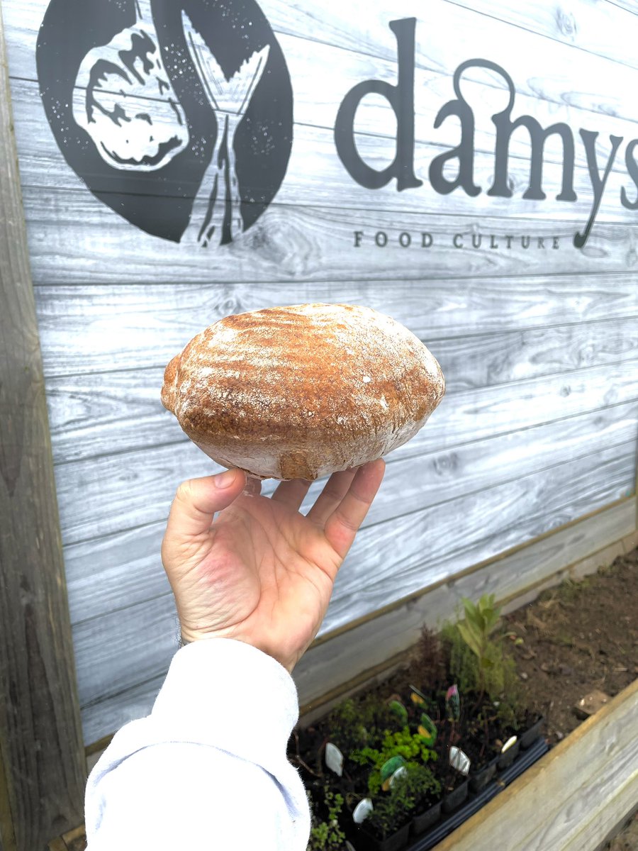 Fresh out the oven for sale today <a href="/damyscornwall/">damyscornwall</a> ponsanooth, pelean cross. Smells awesome 😎 #sourdough