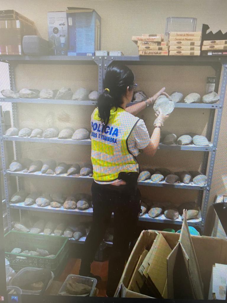 El ciberpatrullatge és un desafiament per als investigadors per detectar punts de venda de falsificacions artístiques, obres d’art sostretes o punts de venda de material provinent d’espolis a jaciments