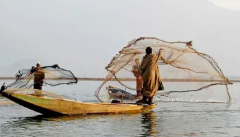 Snowjoy_Kashmir's tweet photo. The UT government has approved a Rs. 176 crore project to boost #fish production to overcome these challenges like: inbreeding depression,outdated infrastructure etc. #JammuKashmir #kashmir #agriculture @kansalrohit69 https://t.co/71W1CW14Ir