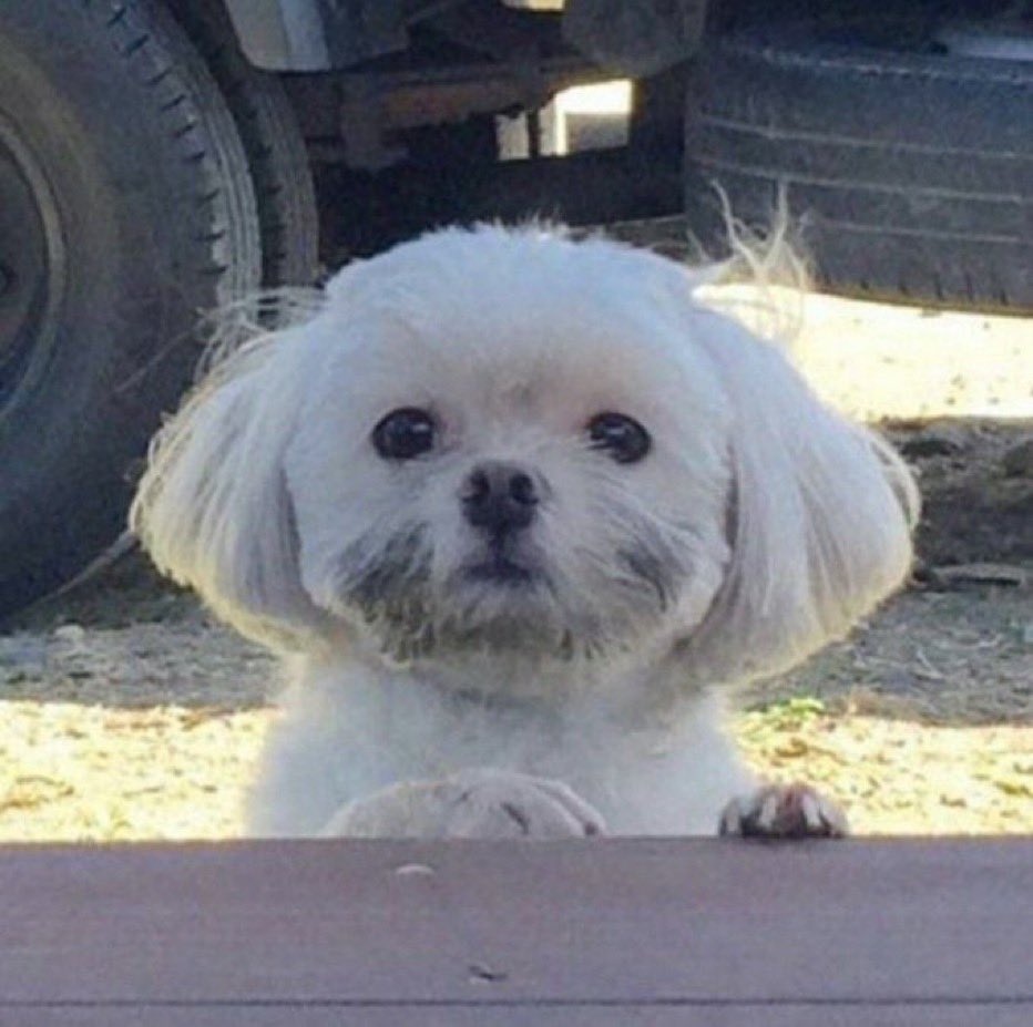 Are you alright?
Of course, I’m okay, totally fine like absolutely awesome 

Also me: